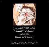 الناصية الكاذله.webp