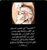 الناصيه 2.webp