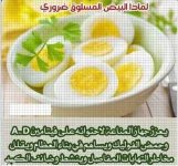 البيض2.webp