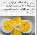 البيض3.webp