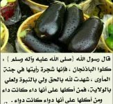 الباذنجان11.webp