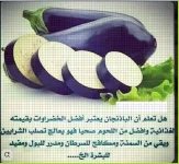 الباذنجان2.webp