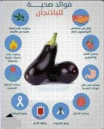 الباذنجان6.webp