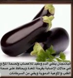 الباذنجان7.webp