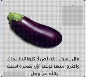 الباذنجان9.webp