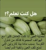 الكوسة3.webp