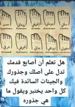 اصلك من اصابع رجلك.webp