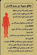 حقائق جسم الانسان