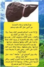 الكبد وشرب الماء.webp