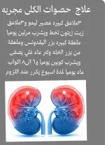 علاج حصوات الكلى.webp