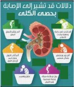 الكلى4.webp