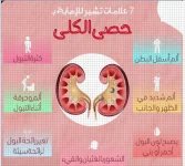 الكلى5.webp