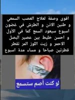 الاذن2.webp