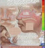 الجيوب الانفيه2.webp