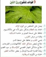 1765460941888.webp
