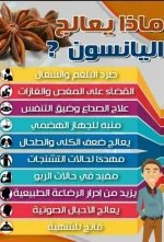 اليانسون النجمي.webp