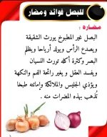 البصل3.webp