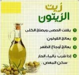 11.webp