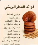 فوائد الفطر الريشي.webp