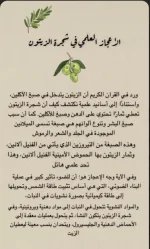 اعجاز علمي لشجره الزيتون.webp