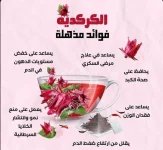 كركديه2.webp