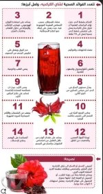 كركديه3.webp