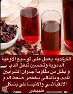 كركديه6.webp