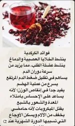 كركديه7.webp