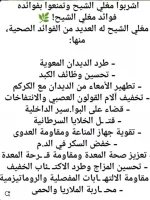 الشيح.webp