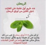 الريحان.webp