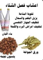اعشاب الشتاء.webp