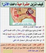 الاذن3.webp