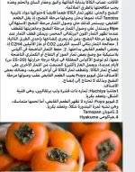 الكاكي9.webp