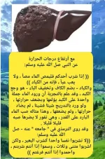 الكبد وشرب الماء.webp