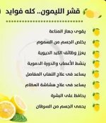 الليمون6.webp