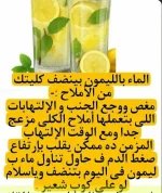 الليمون10.webp