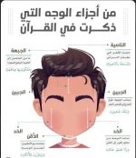 اجزاء الوجه التي ذجرت في القران.webp
