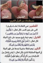 مصطلحات من القران.webp