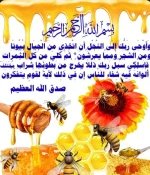 النحل 3.webp