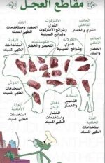 مقاطع العجل.webp