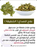 الصداع والشقيقة.webp