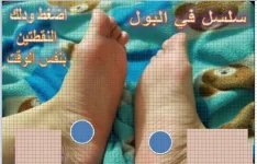 سلس البول.webp