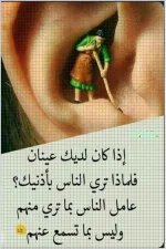 حكمة2.webp حكمة2.webp