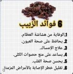 الربيب4.webp