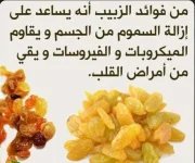 الزبيب7.webp