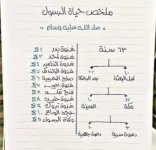 ملخص حياة الرسول.webp