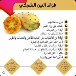 التين الشوكي.webp