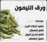 الليمون.webp