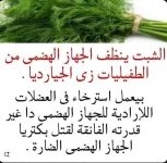 الشبت2.webp