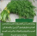 الشبت3.webp